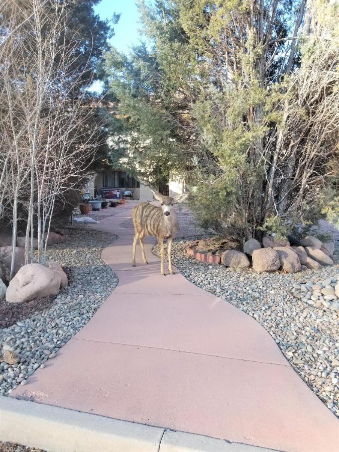 Your Comfy Home In Colorado Springs Exterior photo